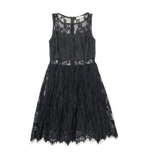Francesca's Womens Size XS Black Sheer Lace Mesh Fit Flare Lined Dress